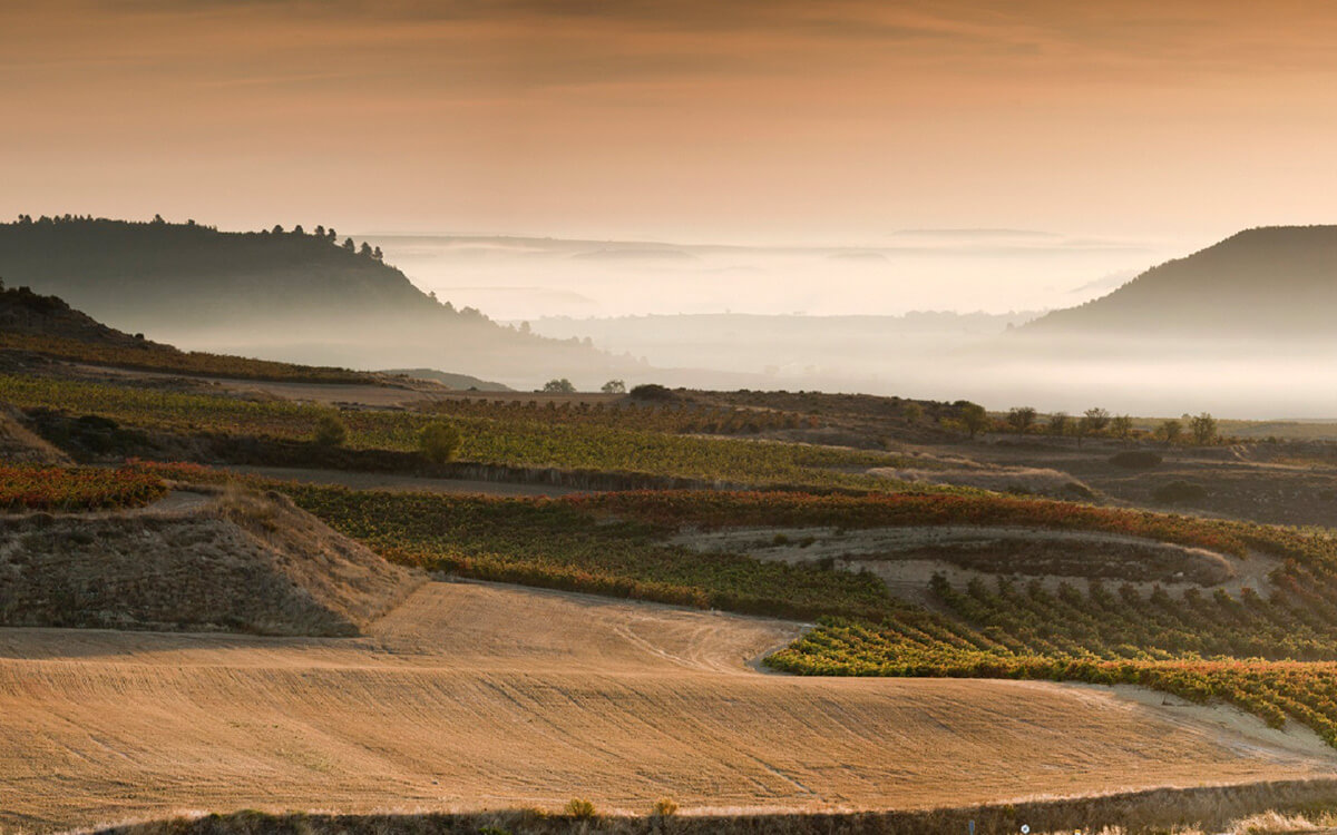 Bodegas Beronia