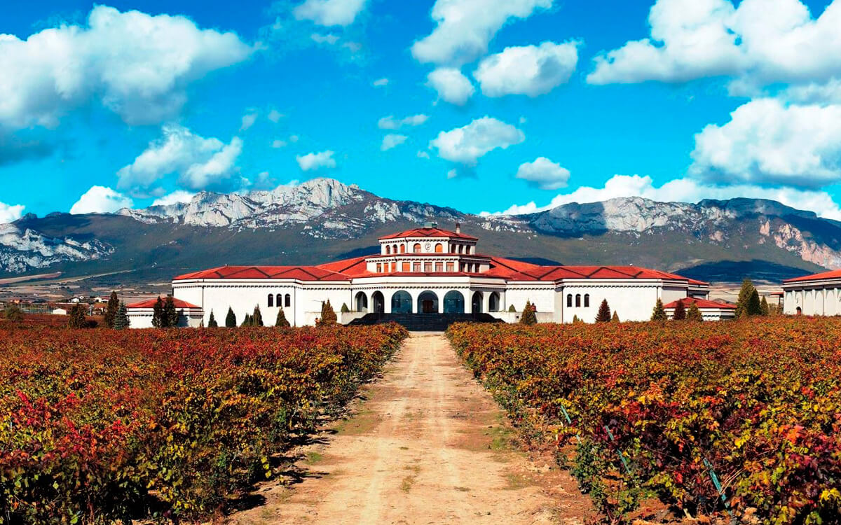 Bodegas Campillo