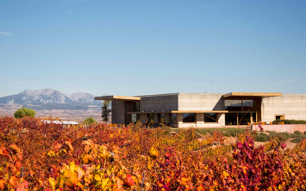 Bodegas Campo Viejo