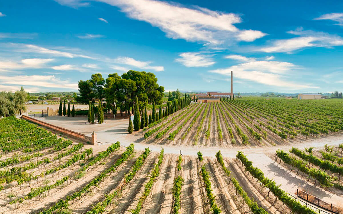 Bodegas Campoameno