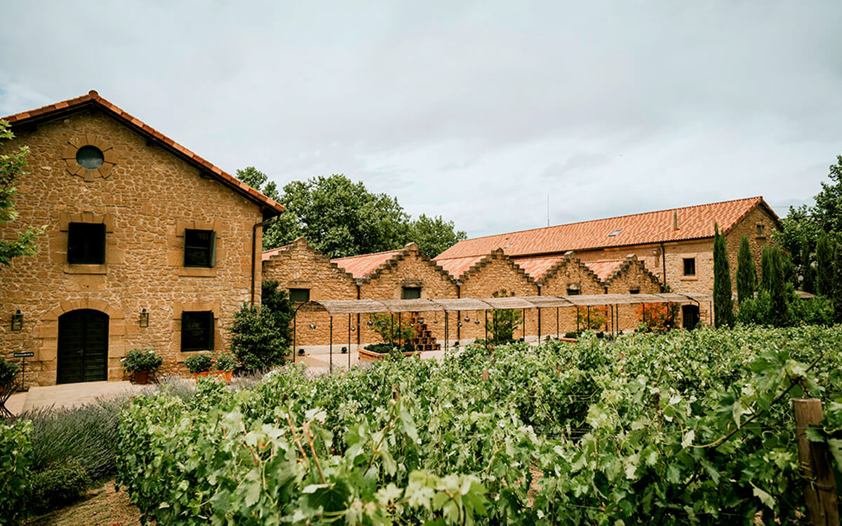 Bodegas Cosme Palacio