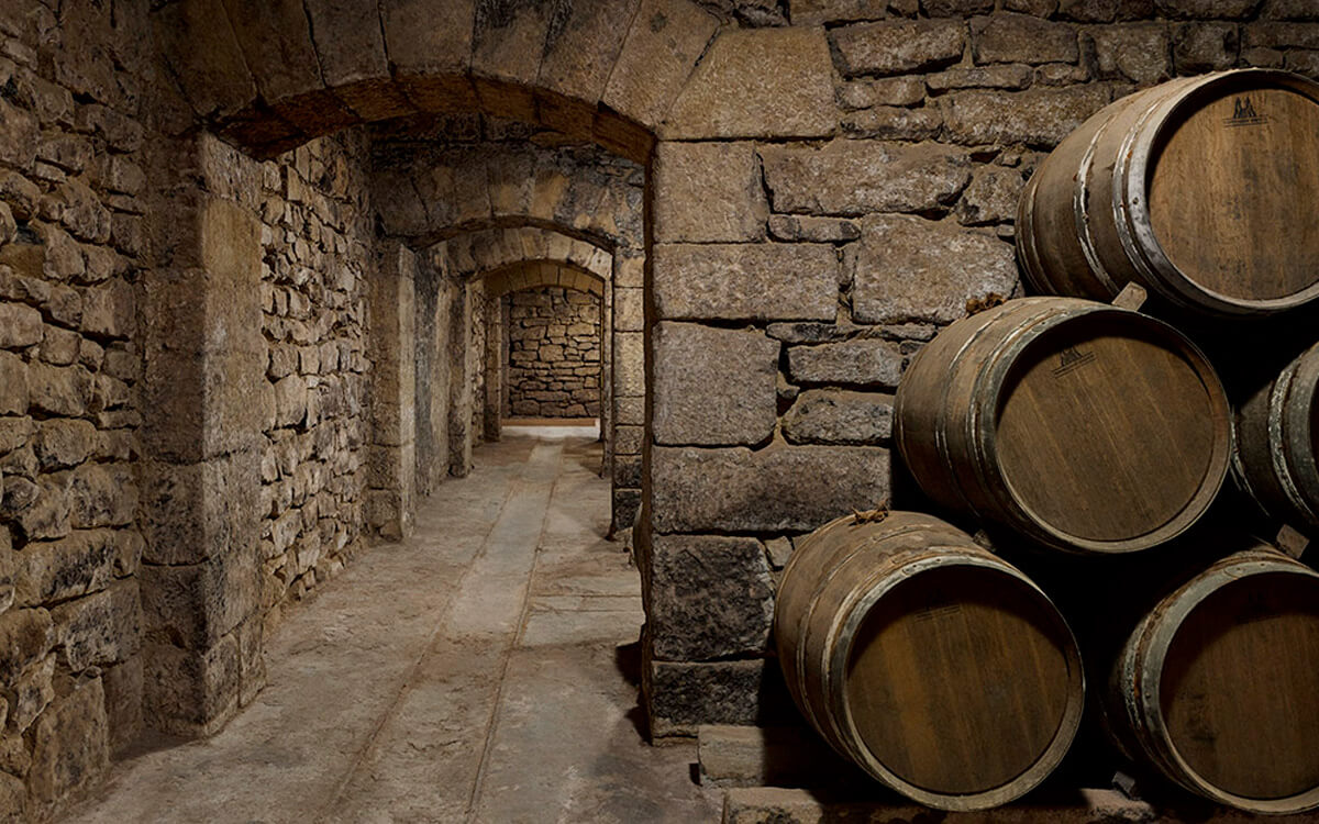 Bodegas Cosme Palacio