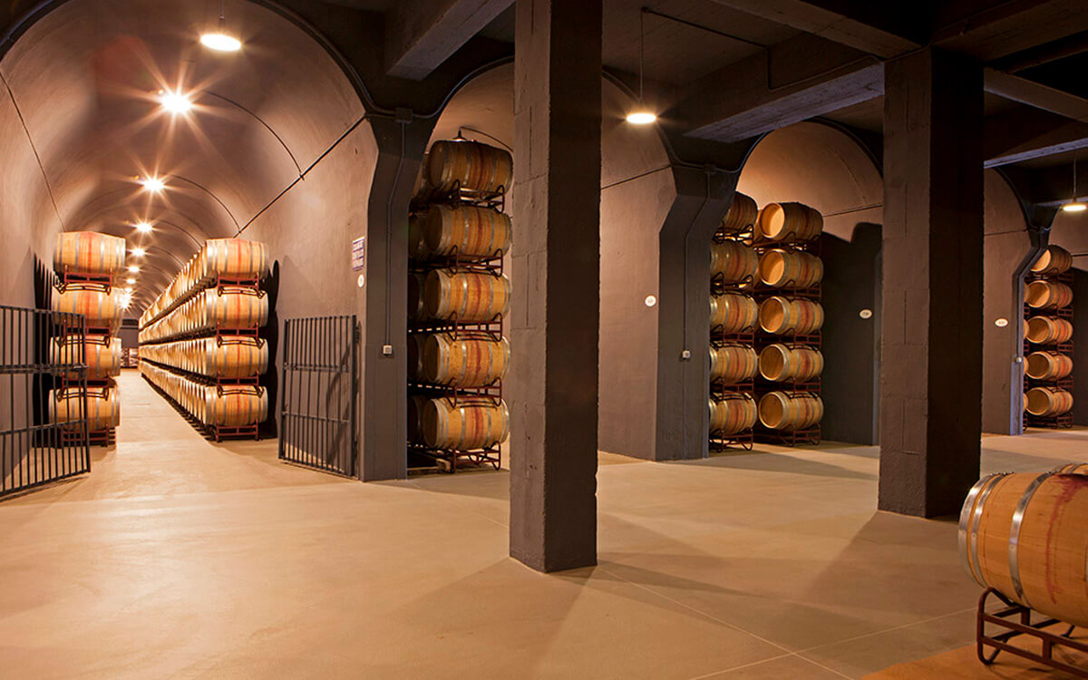 Bodegas Cosme Palacio