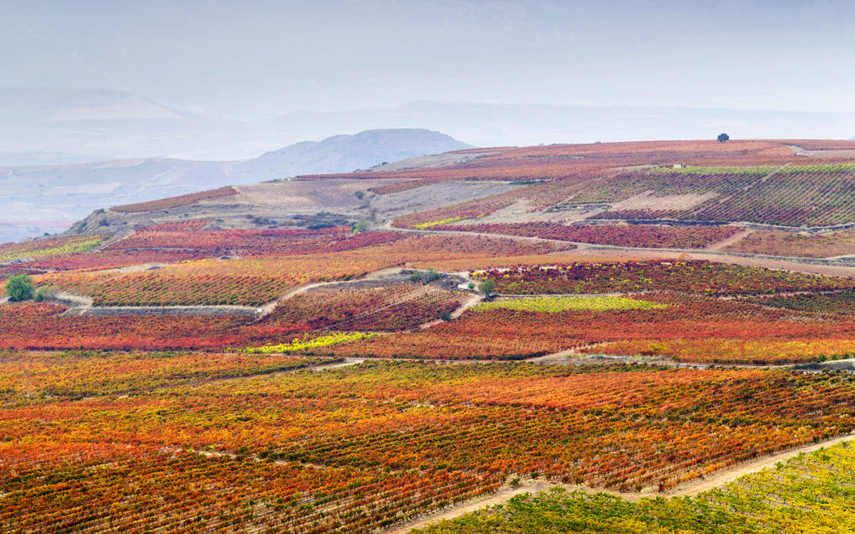 Criadores de Rioja S.L.