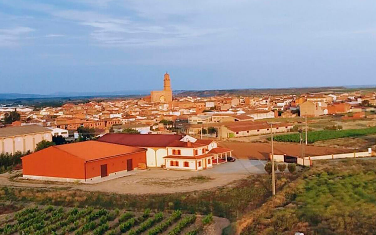 Bodegas D. Mateos