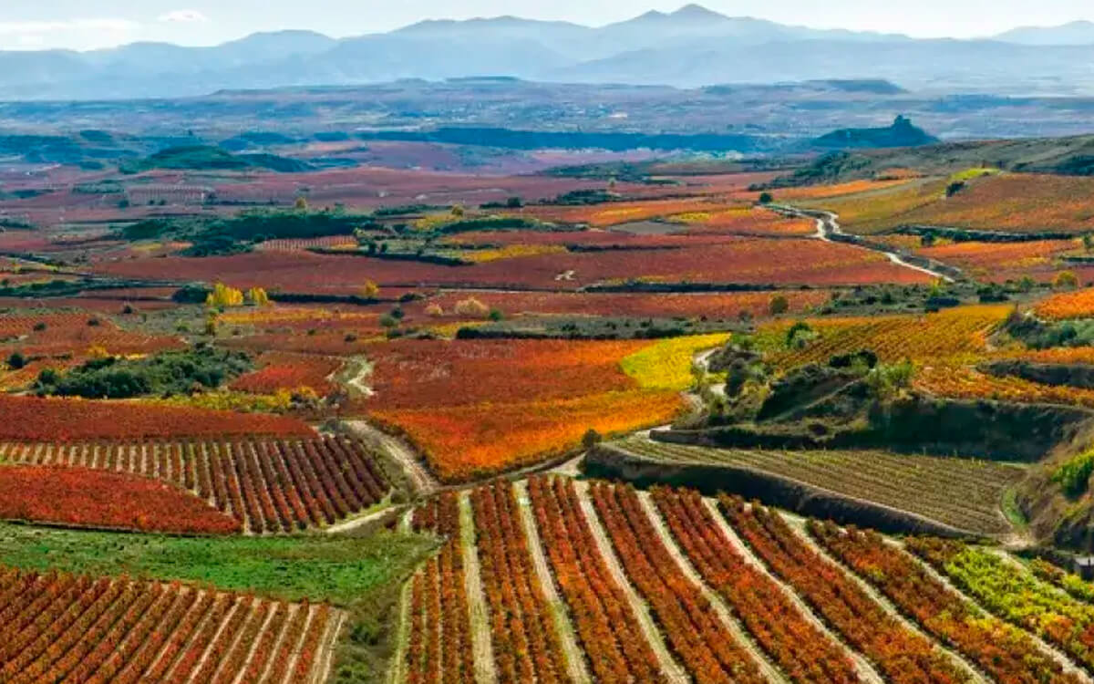 Bodegas Eguía