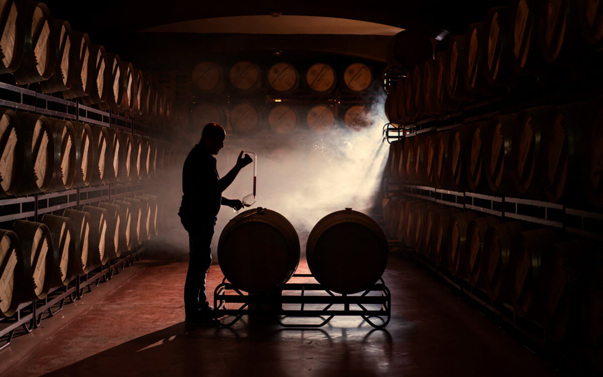 Bodegas Faustino S.L.