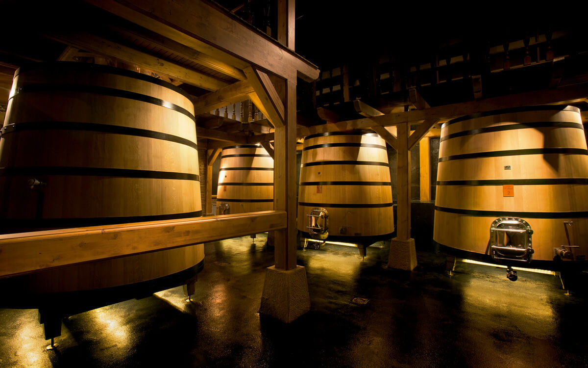 Bodegas Izadi