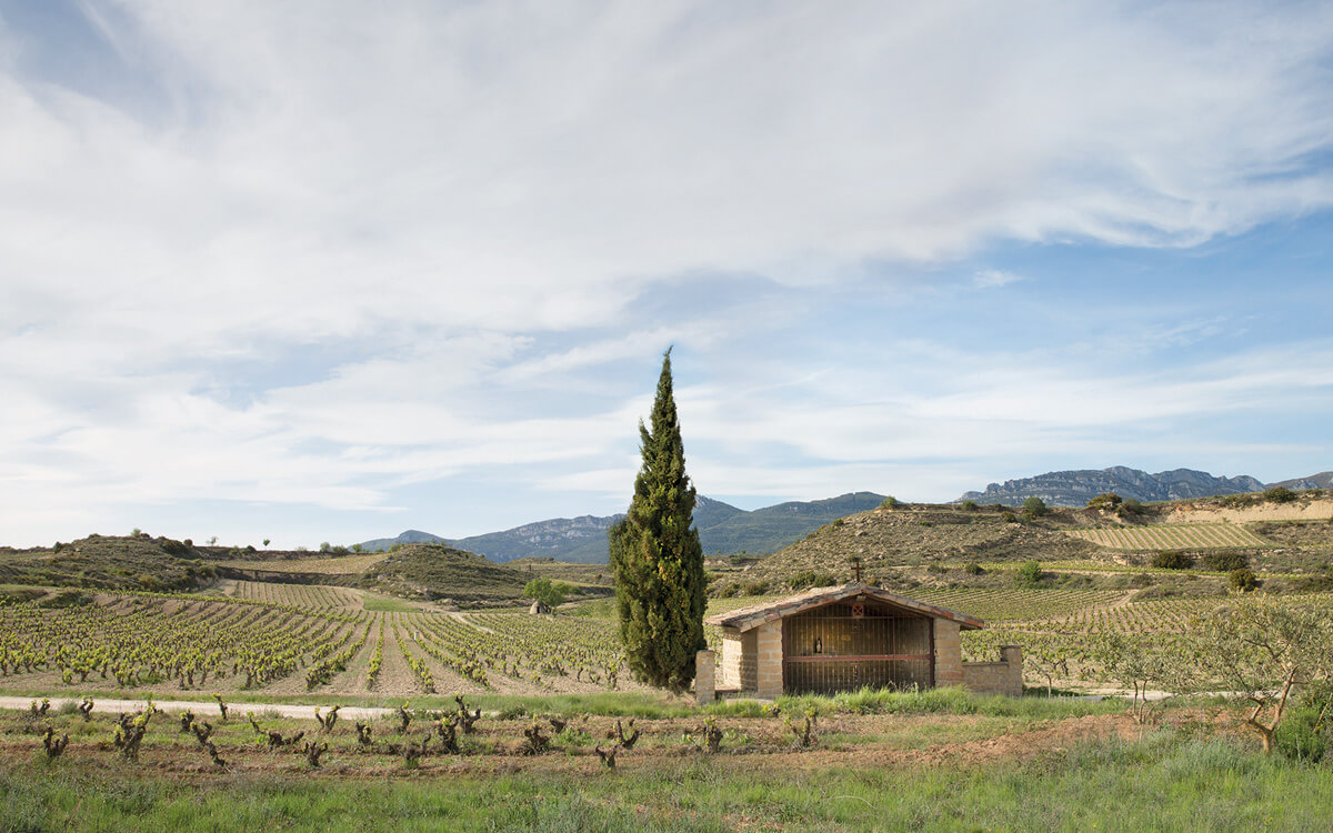 Bodegas Izadi