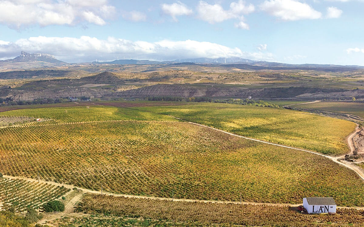 Bodegas Lan