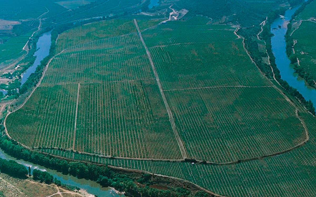 Bodegas Lan