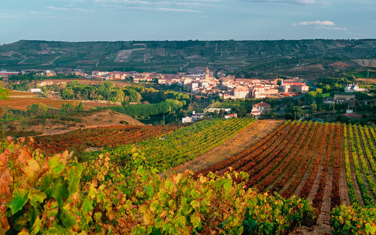 Marqués de la Concordia Family of Wines