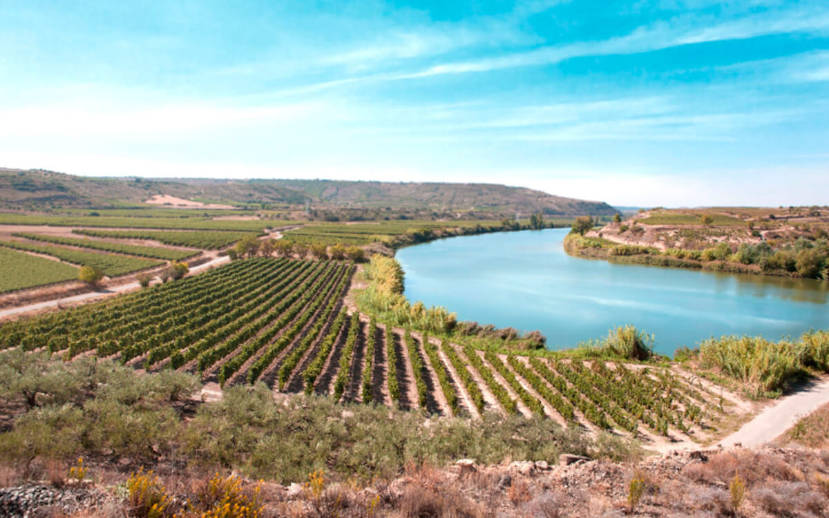Bodegas Marqués del Puerto