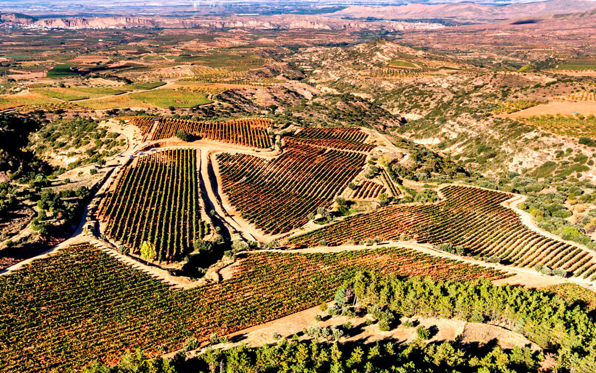 Bodegas Queirón