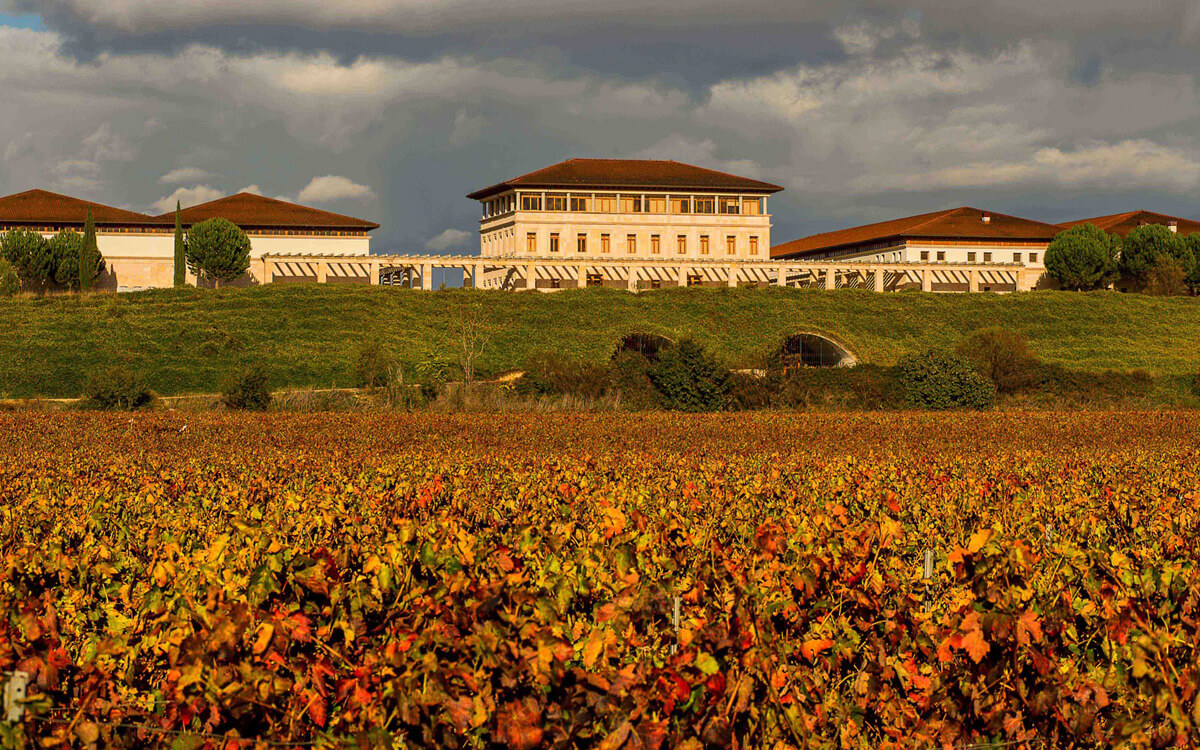 Rioja Vega