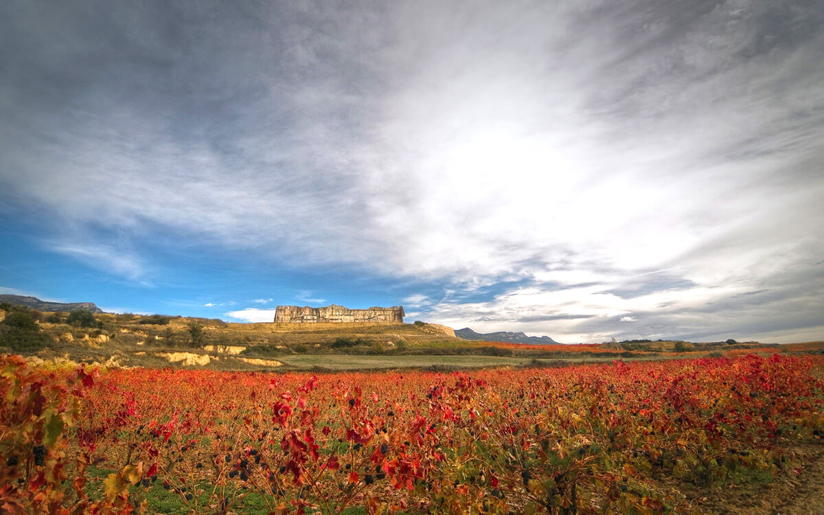 Bodegas Soto de Torres