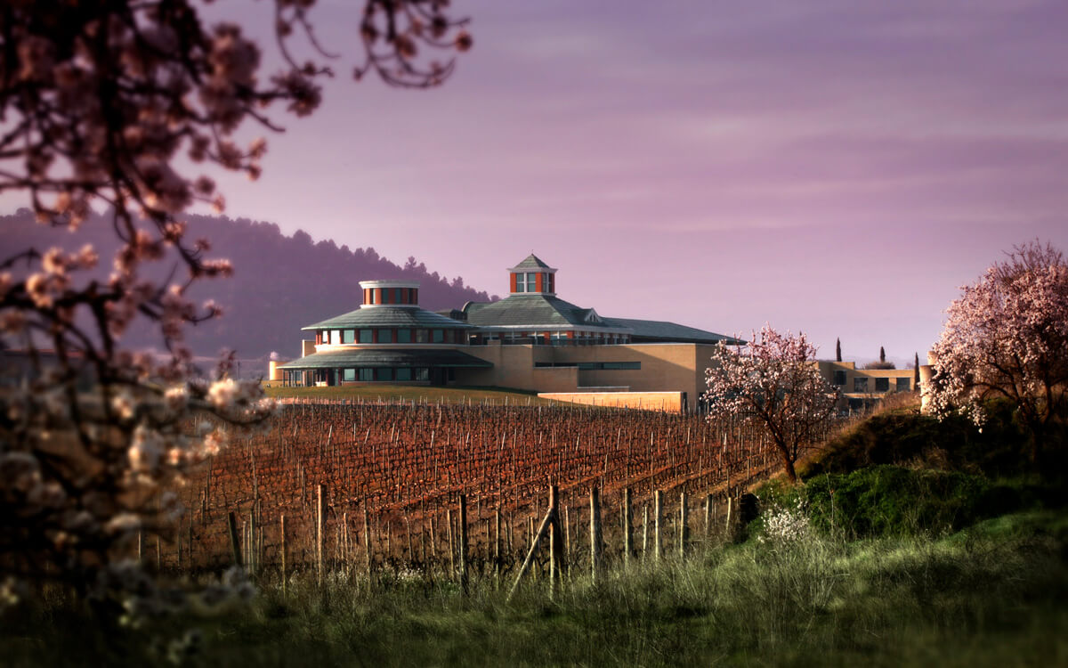 Bodegas Vivanco S.L.