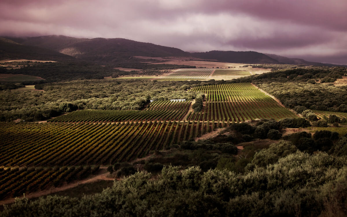 Bodegas Vivanco S.L.