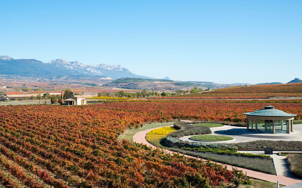 Bodegas Vivanco S.L.