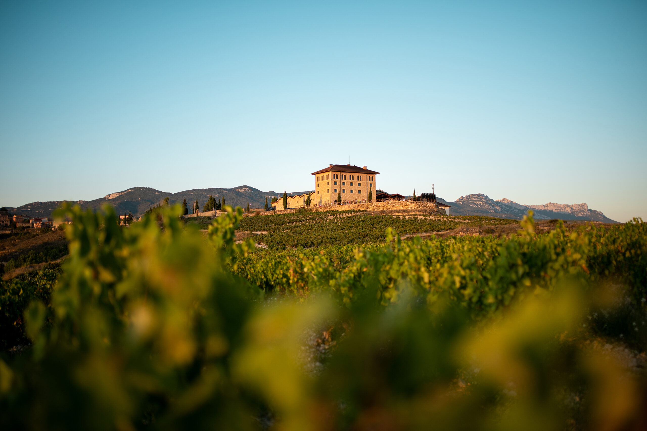 Bodega Classica